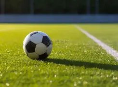 乐鱼体育,资讯,乐鱼体育官网,乐鱼体育官网,乐鱼体育APP,LeYu,Sports,乐鱼体育平台