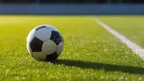 乐鱼体育 资讯 174546 wrh