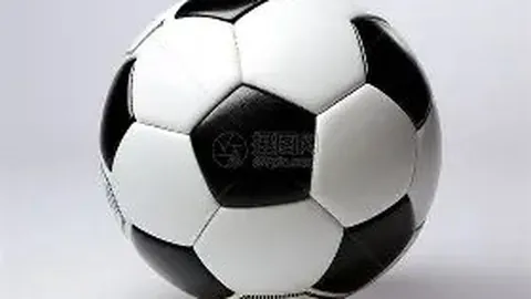 乐鱼体育 资讯 174537 dpu