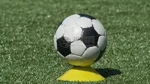 乐鱼体育 资讯 174556 ld3