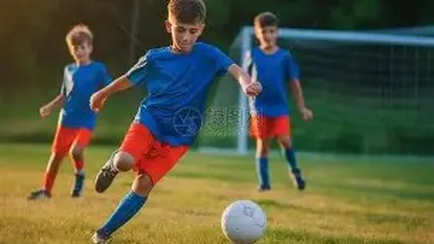 乐鱼体育 资讯 174611 462